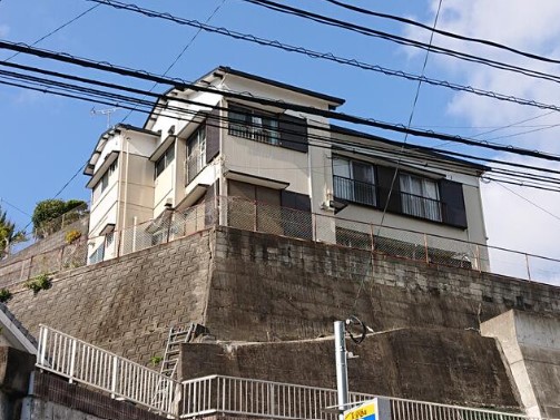 グリーンハイツ錦の実物写真1