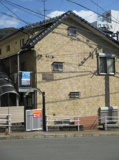 ブルーハイツ坂本の実物写真1